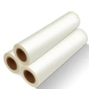 A3 PET Film Roll 12 Inch India